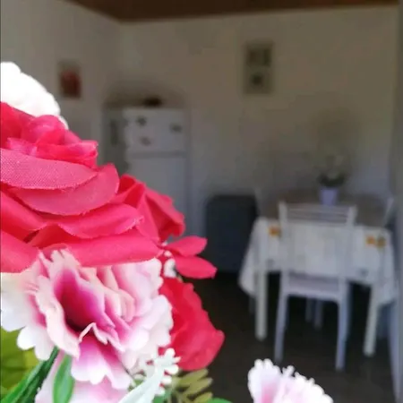 La Gallizza